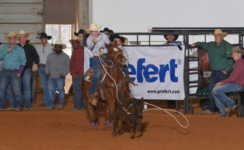 Roper on horseback swinging lasso during rodeo event with spectators and Priefert signage visible along arena barrier