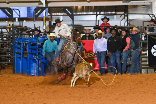 Cowboy on horseback roping a steer during a rodeo event, with spectators and blue cattle chutes visible in the arena