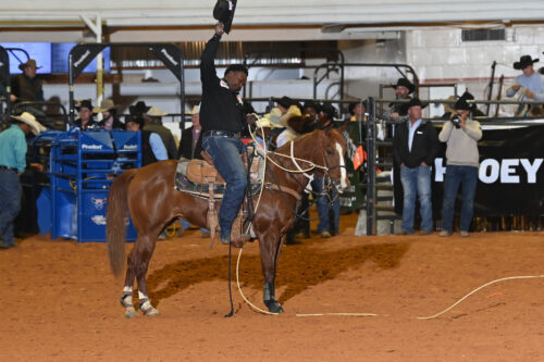 Cowboy on horseback with lasso raised in arena at rodeo event, with spectators and blue barriers visible in background