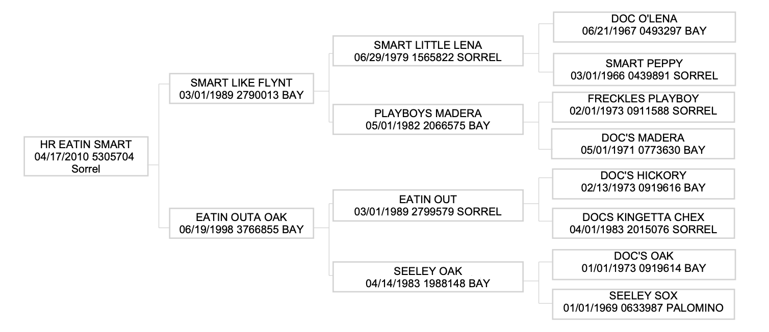 Pedigree chart showing HR Eatin Smart and his bloodline ancestors, including horses like Smart Like Flynt, Playboys Madera, and Eatin Out, with birth dates and registration numbers listed for each horse