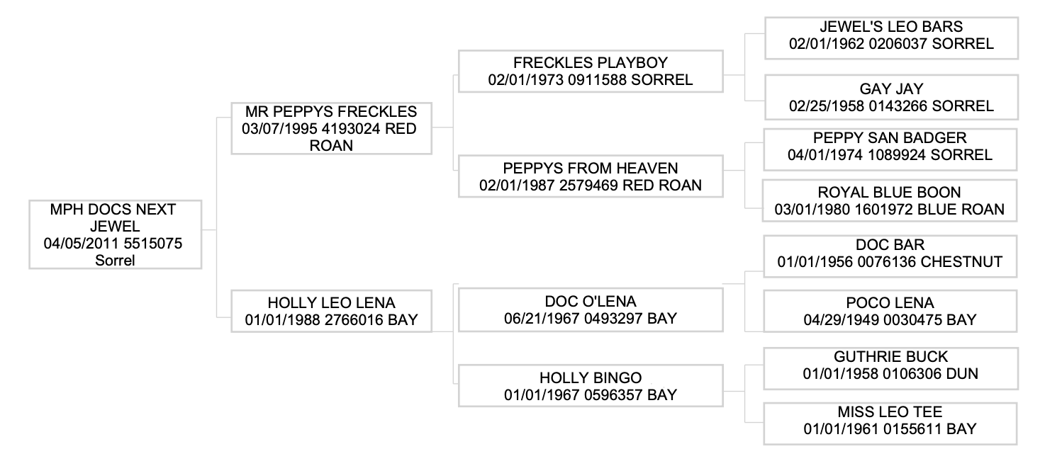 Pedigree chart showing bloodline connections for MPH Docs Next Jewel, tracing ancestry through multiple generations of horses with registration numbers and coat colors listed