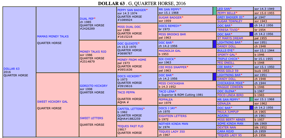 Pedigree chart for Dollar 63, a Quarter Horse from 2016, displaying four generations of ancestors with horse names and registration information in a hierarchical table format