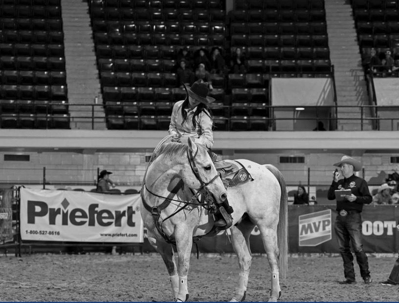 Cowboy on white horse in arena at indoor rodeo venue with spectators and sponsor signage visible