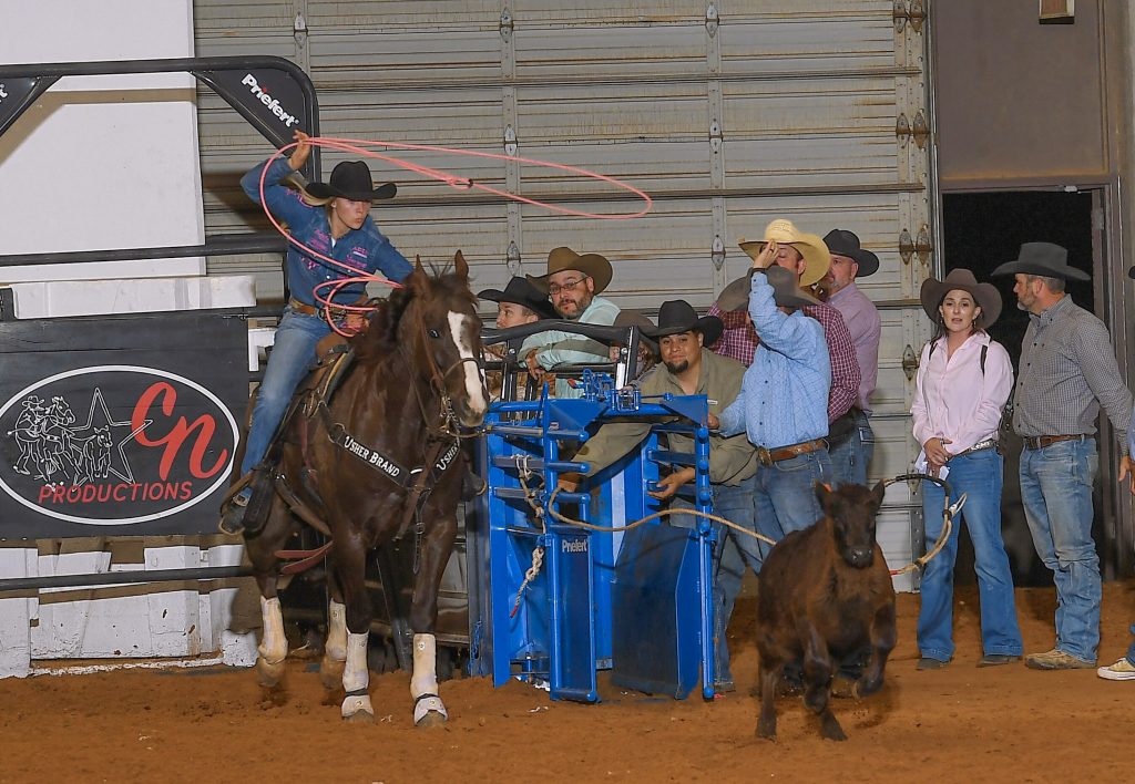 Cowboy on horseback swings a lasso while riding past a blue chute during a ranch sorting event, with spectators and handlers watching nearby