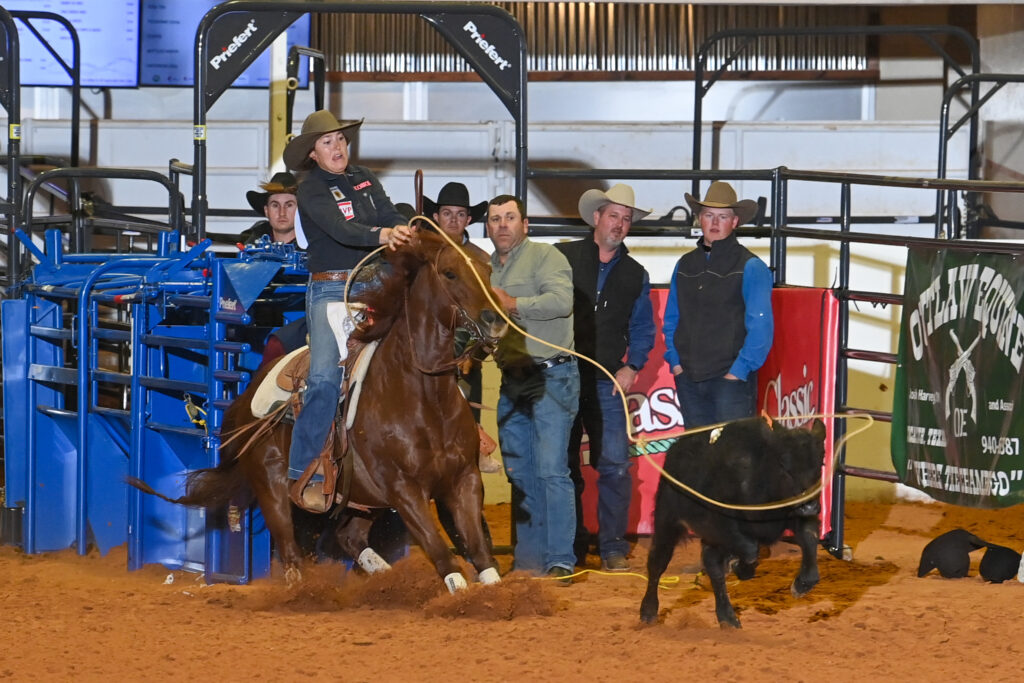 Cowboy on horseback ropes a black steer during a rodeo event in an indoor arena with spectators and handlers watching from the sidelines