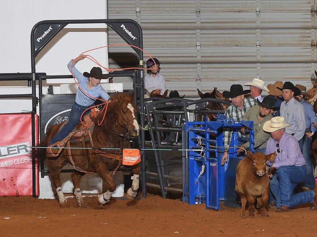 Rodeo participant on horseback ropes a steer in the arena while officials and spectators watch from the sidelines