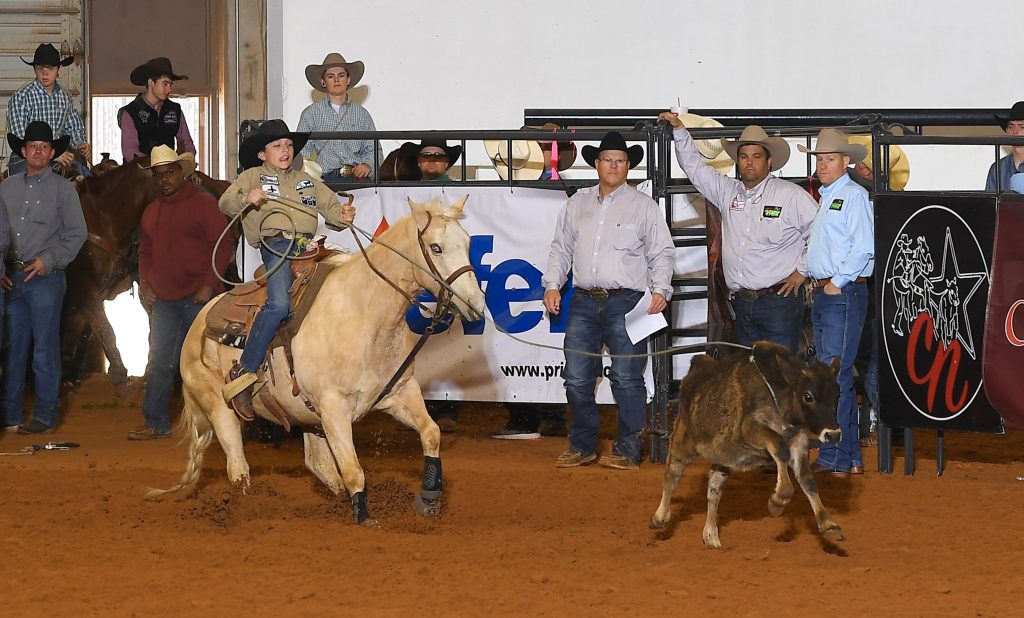 Steer roper on palomino horse chasing steer during rodeo competition, with officials and spectators watching from arena fence