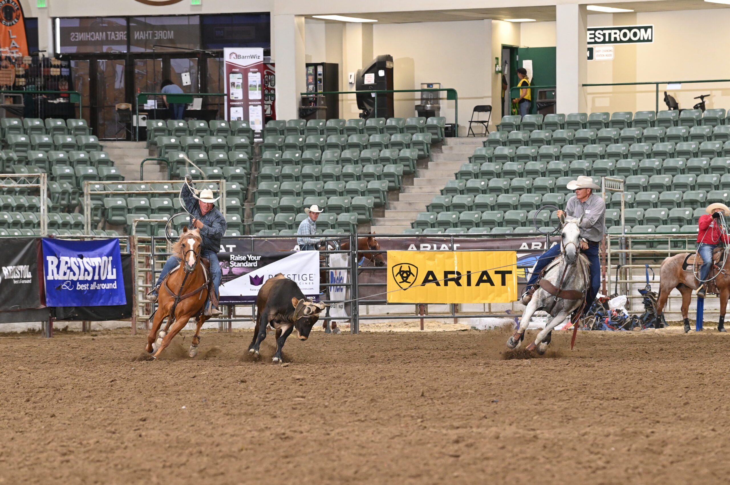 Cowboys on horses compete in steer roping at a rodeo arena with green seats and Ariat sponsorship signage