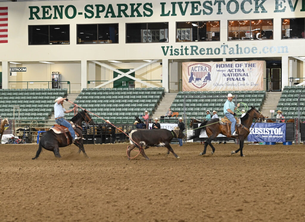 Cowboys on horseback compete in steer roping at the Reno-Sparks Livestock Events center during the ACTRA National Finals