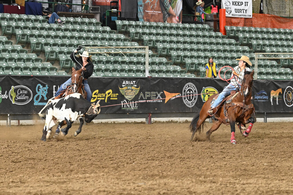 Steer roper on black and white horse swings lasso while competitor on brown horse approaches during rodeo competition at indoor arena