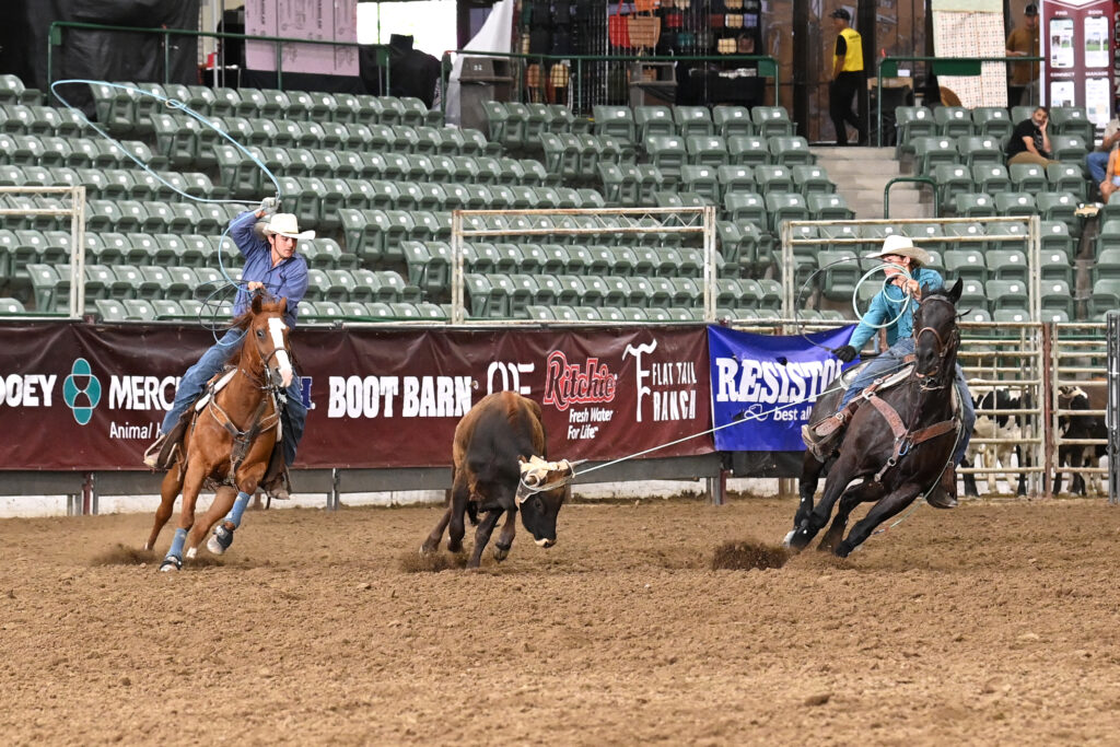 Two steer ropers on horseback chase a steer across a dirt arena at a professional rodeo event