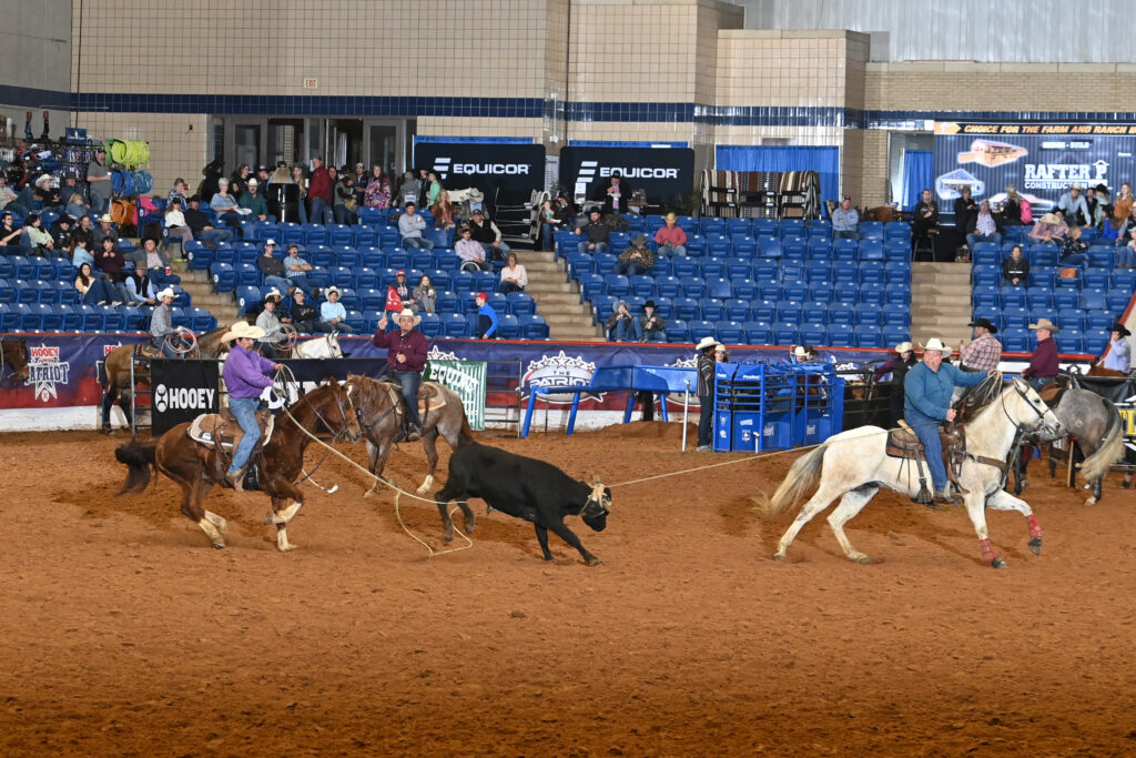 Two cowboys on horseback rope a black steer during a ranch sorting competition in an indoor arena with blue seats and spectators