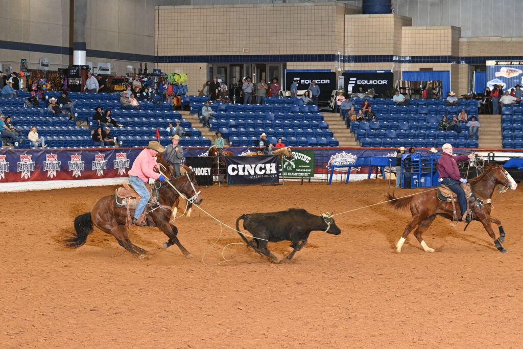 Two ropers on horseback work to control a black steer in a rodeo arena during a ranch sorting competition at an indoor venue