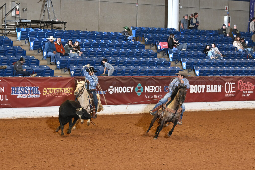 Two cowboys on horseback separate a black steer during a ranch sorting competition in a dirt arena