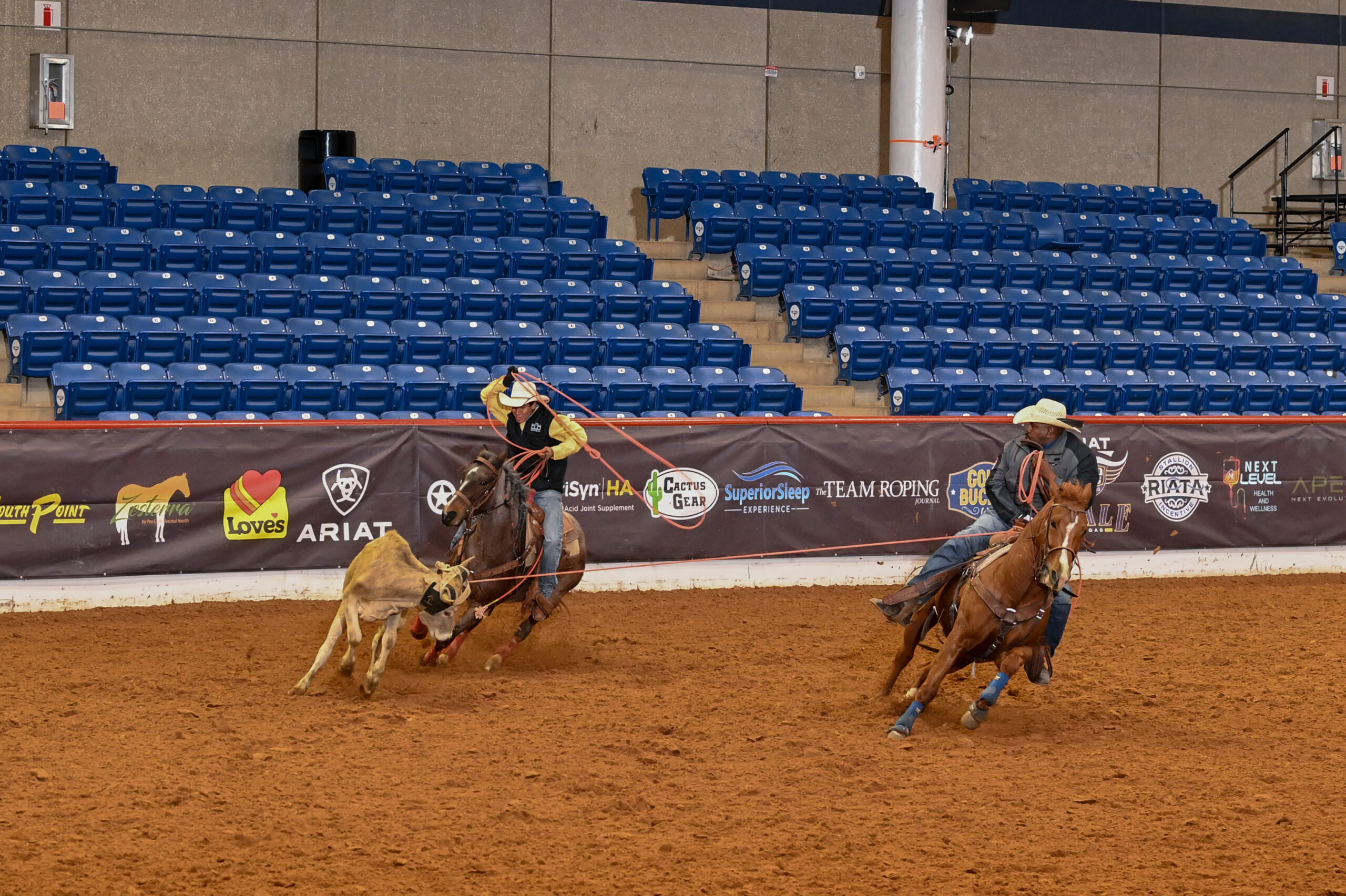 Two ropers on horseback work a steer during a team roping event at an indoor arena with blue stadium seating