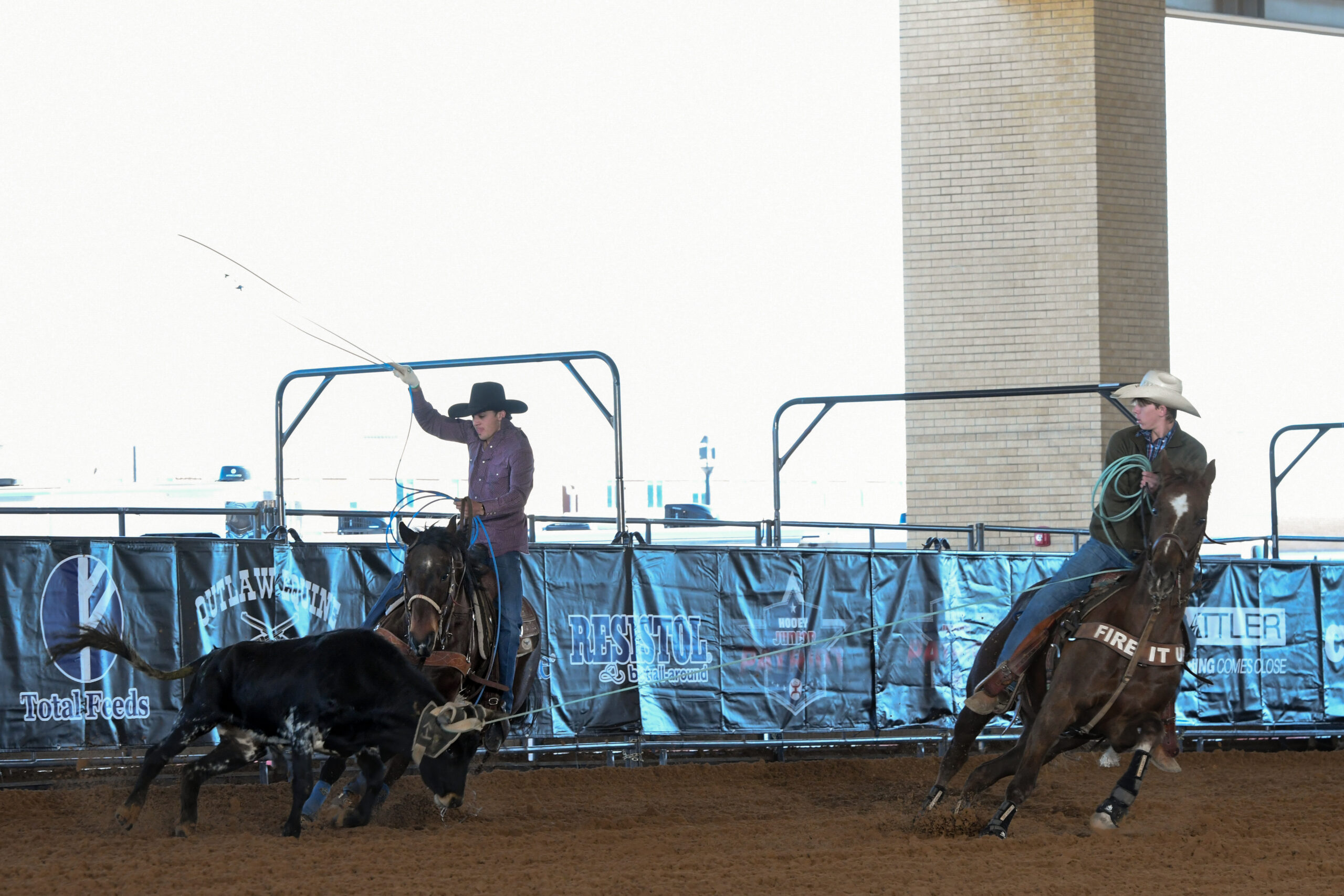 Roper on horseback swings lasso while steer runs past barrier at rodeo arena with brick building and sponsorship banners in background