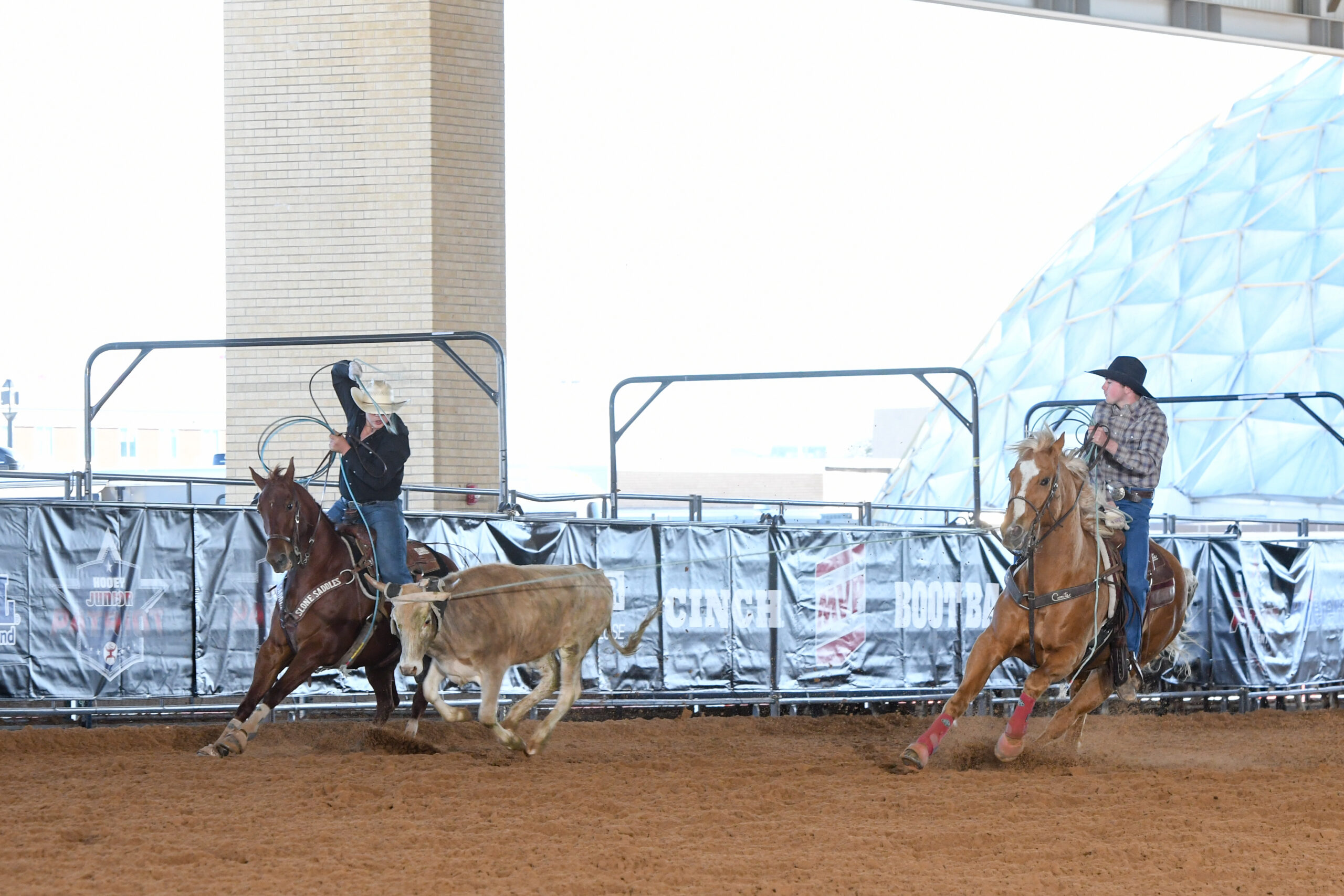 Cowboy on horseback roping a steer during a rodeo event in an urban arena with city buildings in the background