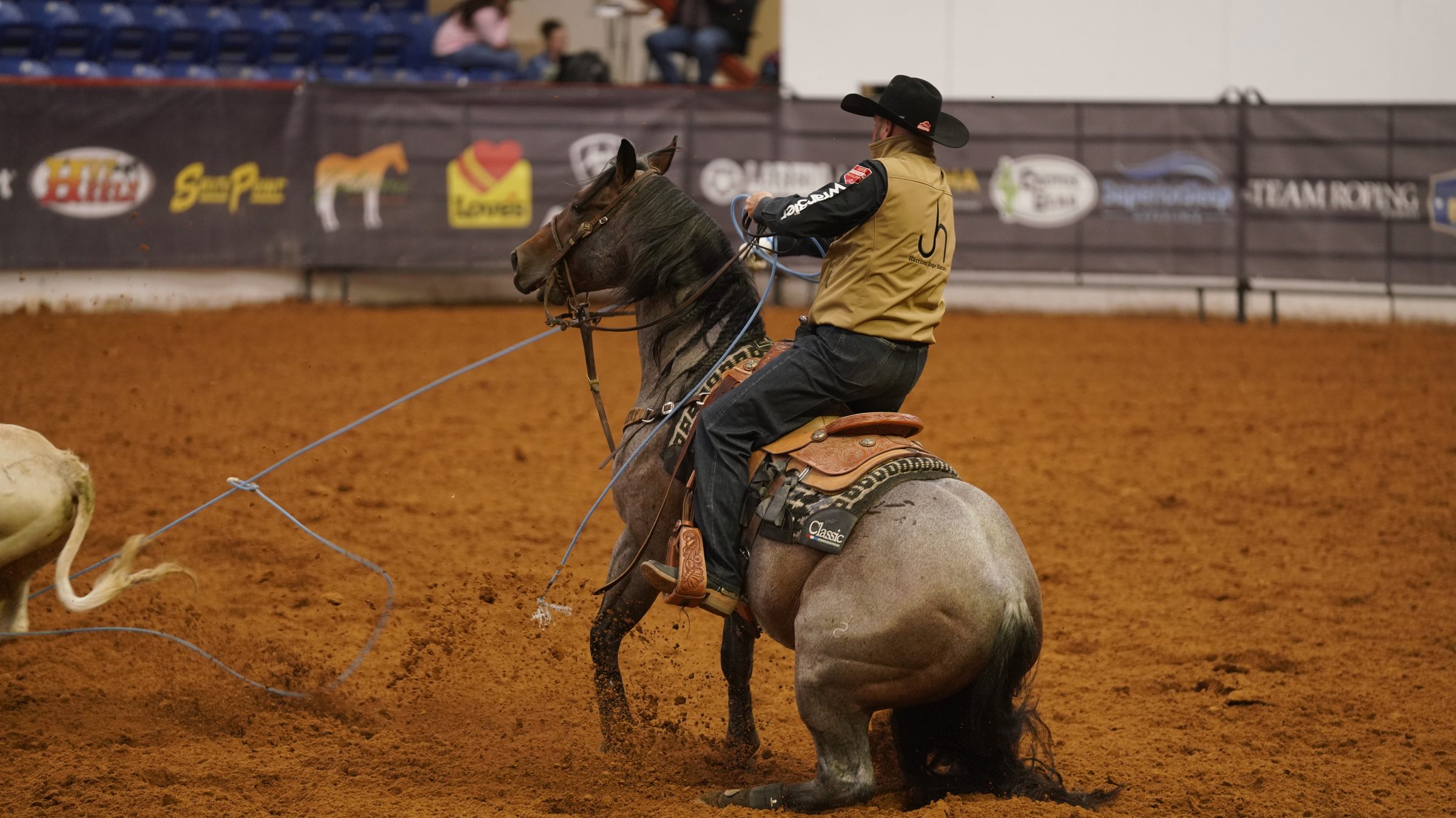Roper on horseback swings lasso while competing in rodeo event at indoor arena with sponsor signage visible along barrier