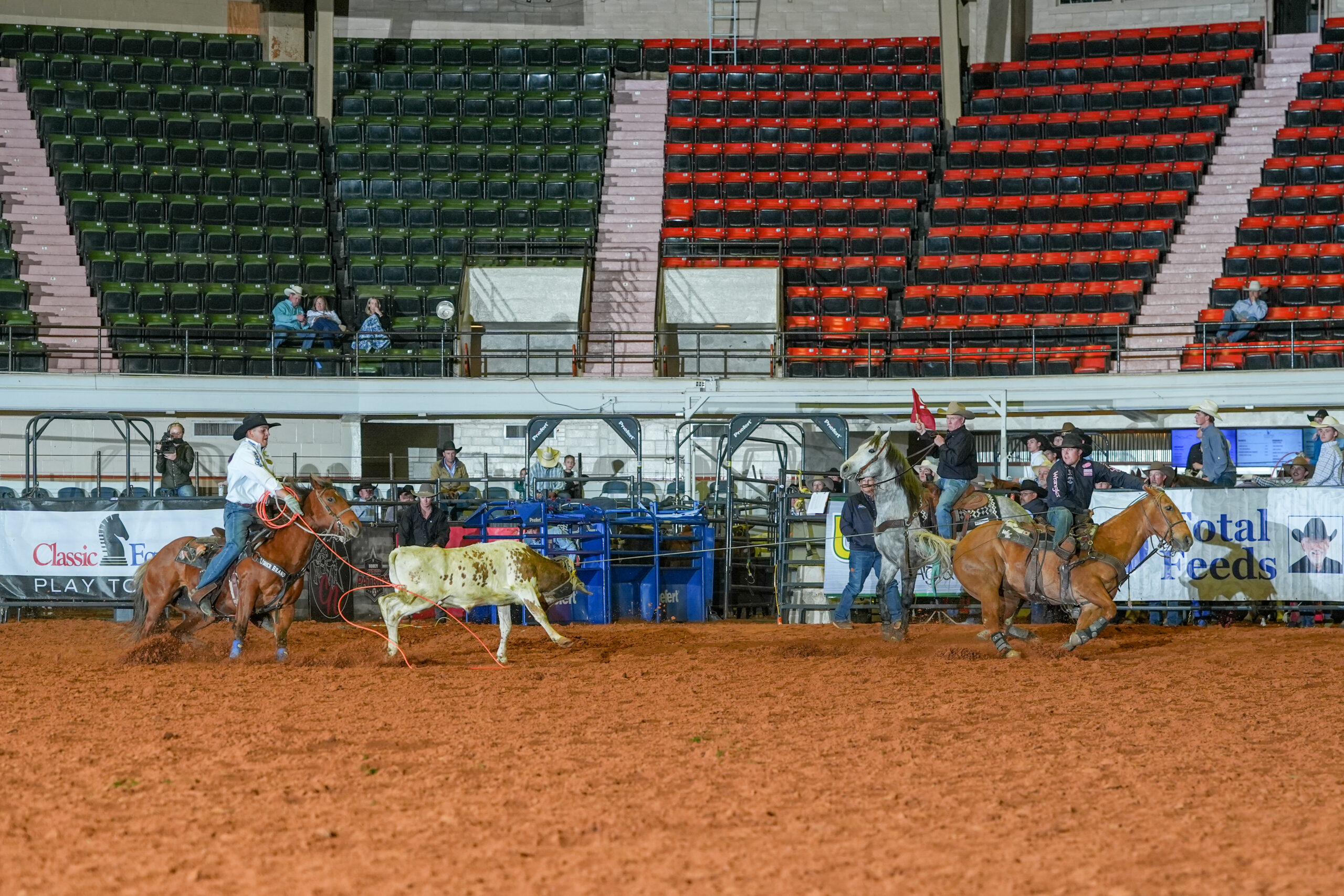 Cowboy on horseback roping a steer during rodeo competition in an indoor arena with colorful seating