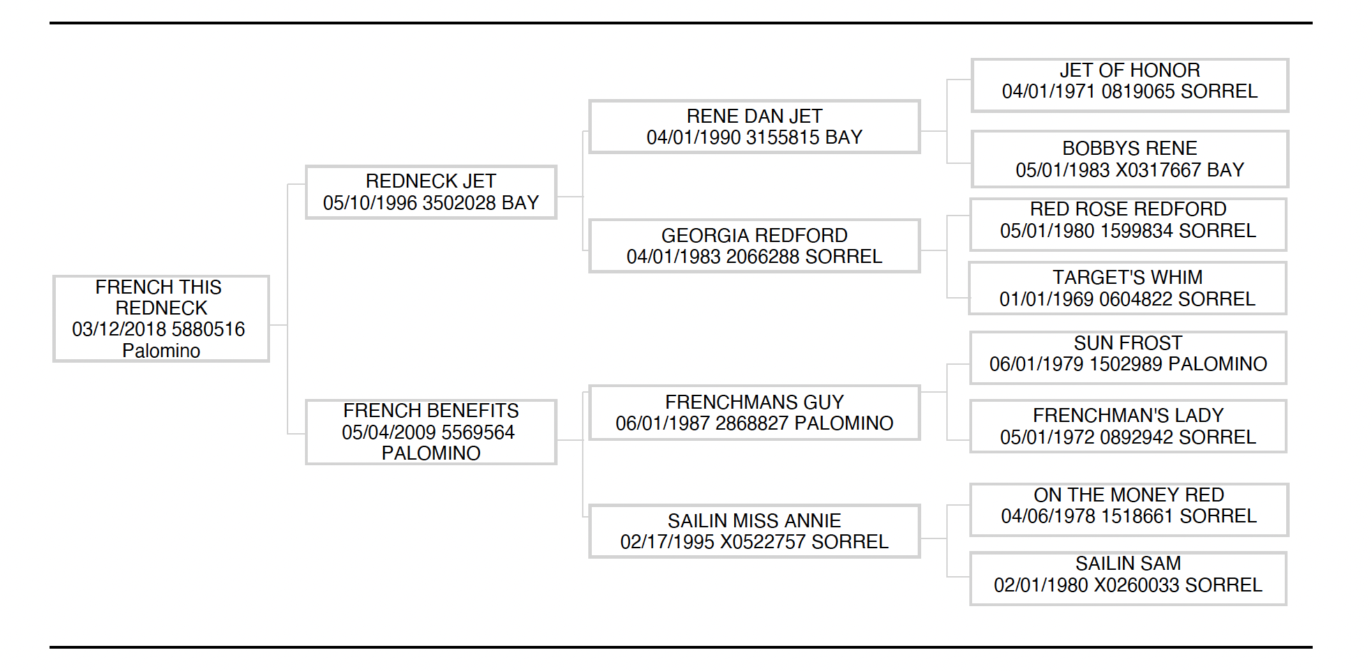 Pedigree chart for French This Redneck, a Palomino horse, showing ancestry dating back to 1969
